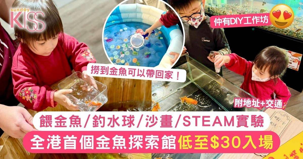 全港首個金魚探索館親子必去！近距離餵金魚+DIY工作坊低至$30入場