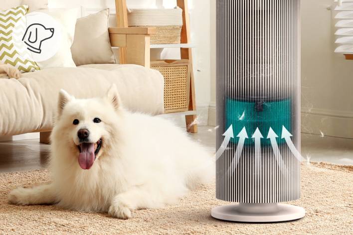 lg puricare Pet Mode 寵物模式能有效去除寵物異味和毛髮,令家居變得更清新。(圖片來源:LG)