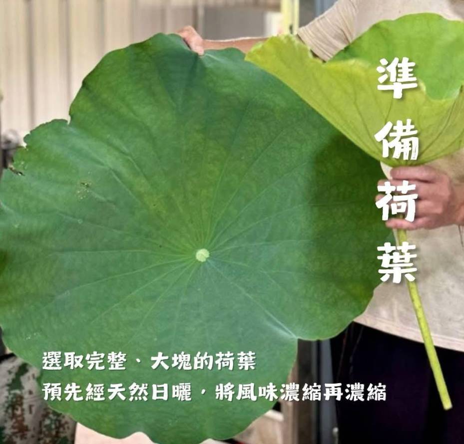 夏日荷塘食農體驗 (圖片來源:FB@長春社)