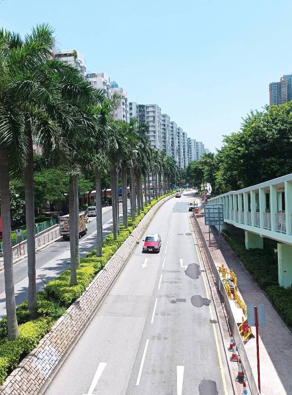 校巴 學童 紅磡南道(圖片來源:地圖)