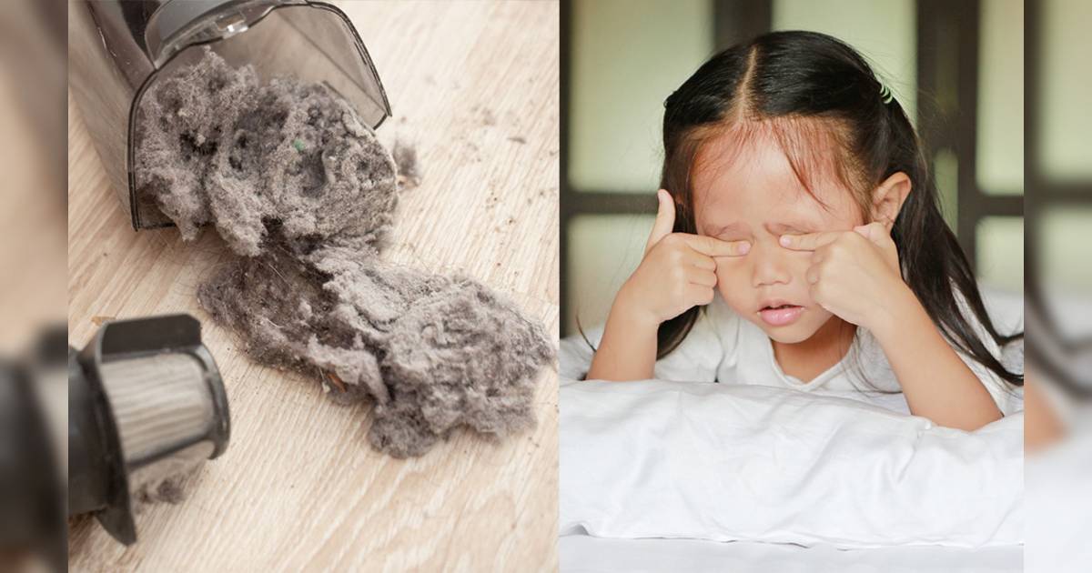 5招清潔床褥大法  除皮屑塵蟎、尿漬、血漬｜不願再與過千萬塵蟎同眠！