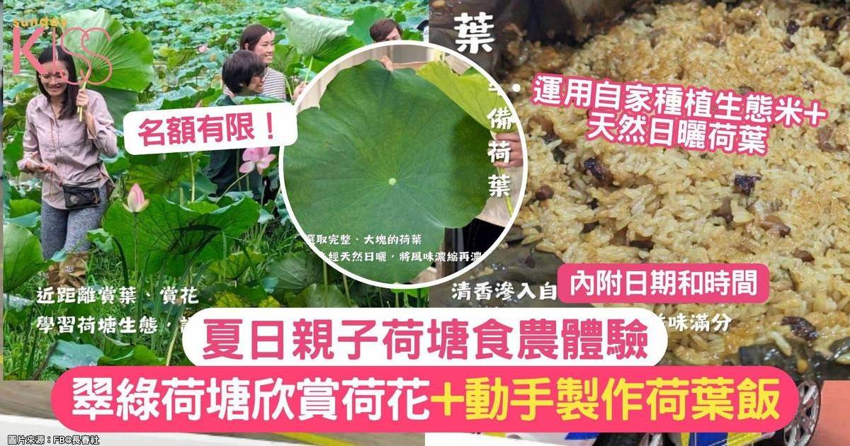 夏日荷塘食農體驗