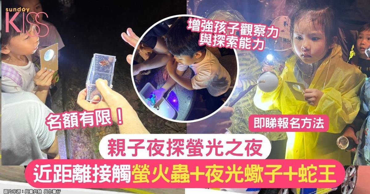 親子夜探螢光之夜
