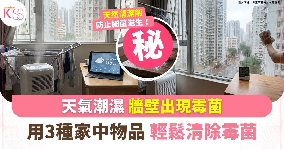 天氣潮濕牆壁出現霉菌 | 用3種家中物品 輕鬆消除霉菌