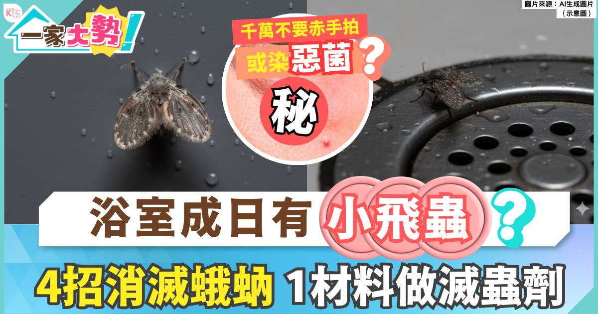 蛾蚋防治｜勿赤手拍打蛾蚋！病原體或引過敏  4招徹底浴室滅蟲