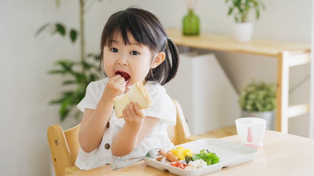 大腦發育 (圖片來源:Shutterstock)