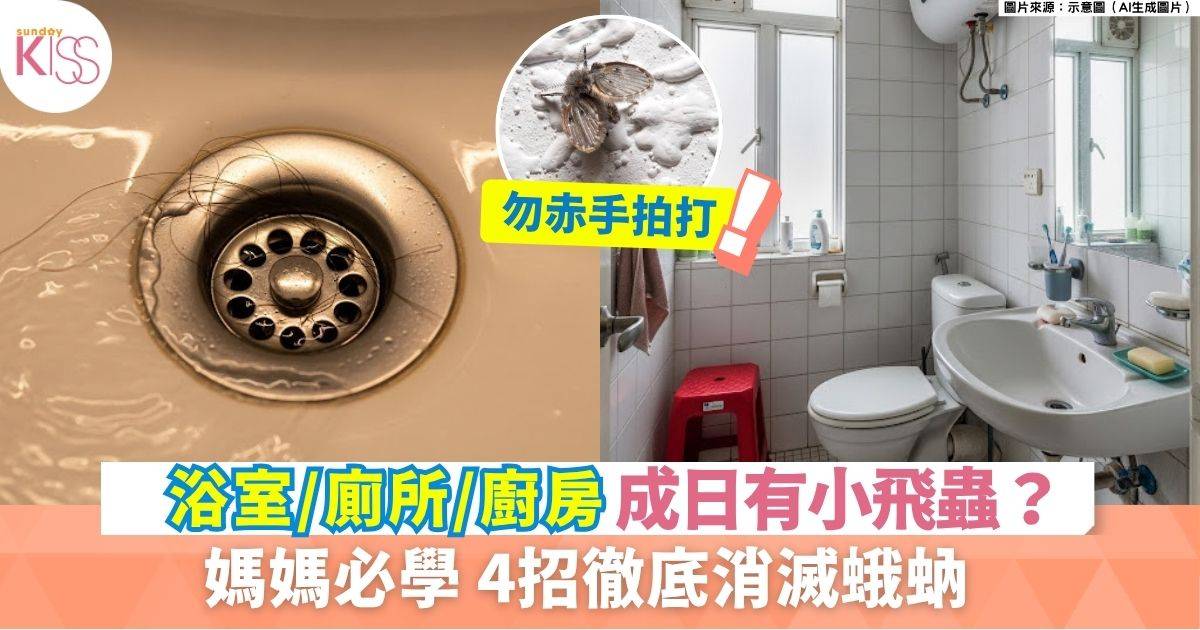 蛾蚋防治｜勿赤手拍打蛾蚋！病原體或引過敏  4招徹底浴室滅蟲