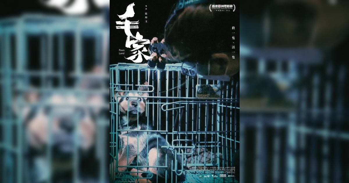 毛家
