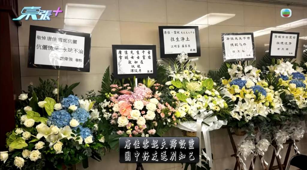 唐佳 雪妮 (圖片來源:東張+)