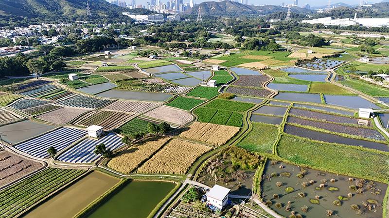 塱原自然生態公園 | default(圖片來源:漁護署)