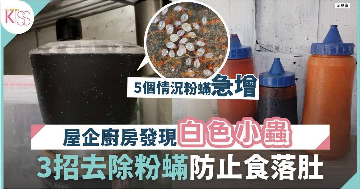 粉蟎處理 驚見調料樽佈滿會郁的白色點點 附粉蟎形成及3個消除法