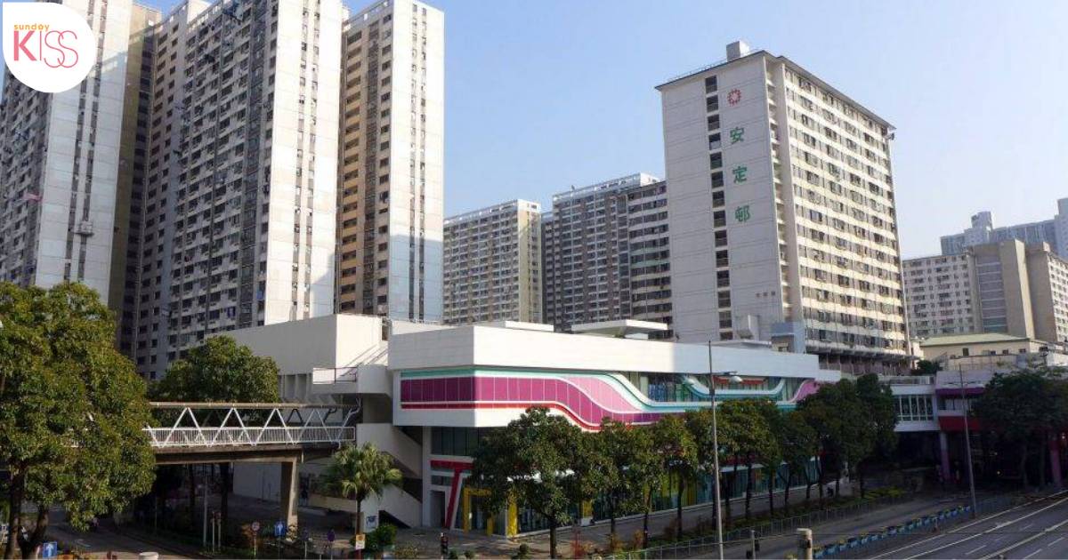 屯門小六女生突揮利器傷男同學被拘捕 真相揭露後網民反撐女生