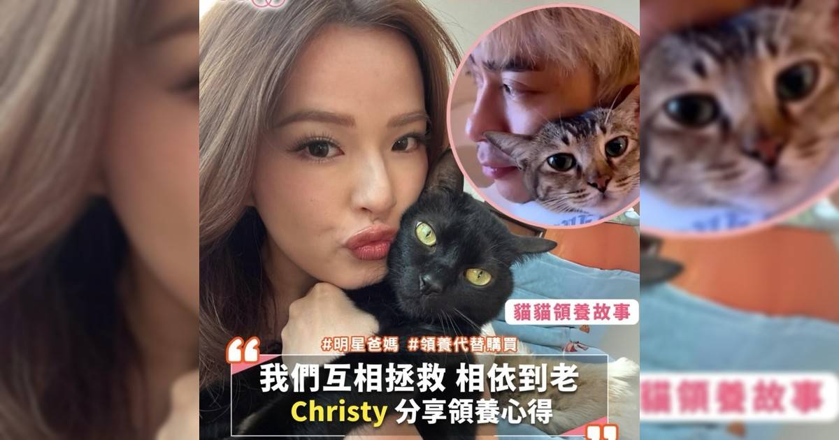 領養代替購買