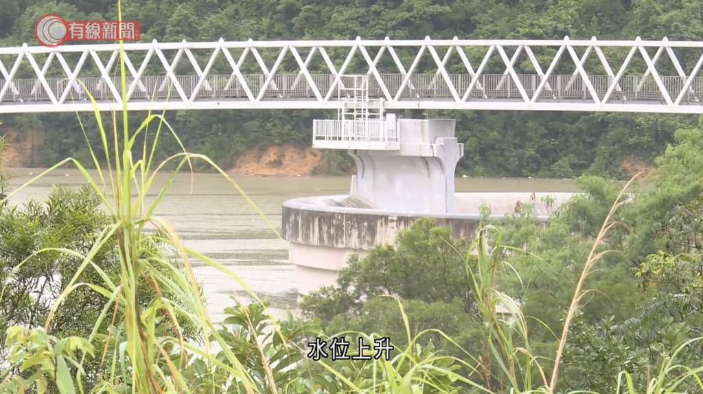 下城門水塘 沙田 (圖片來源:截圖@有線新聞)