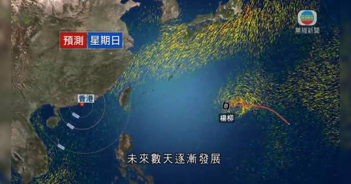 天文台 打風