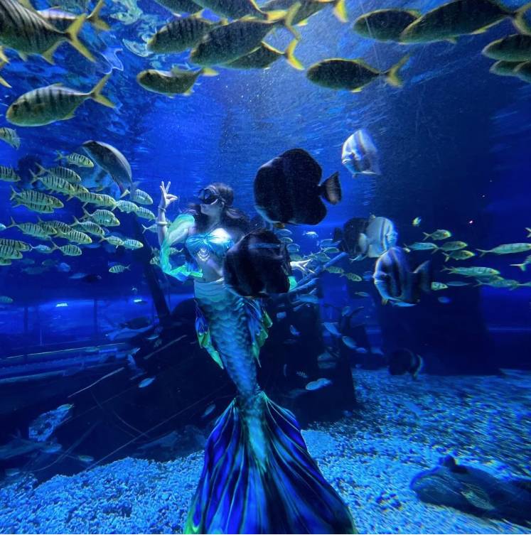 深圳好去處| (圖片來源:深圳恆遠海立方環遊城)