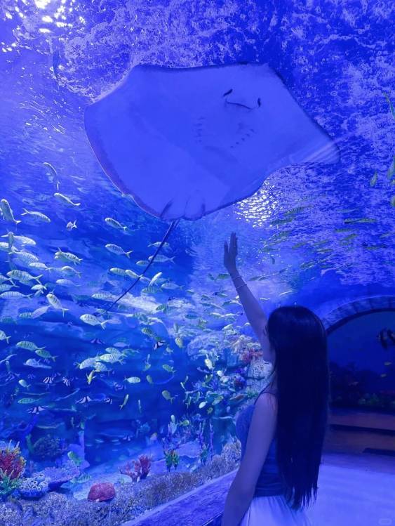 深圳好去處| (圖片來源:深圳恆遠海立方環遊城)