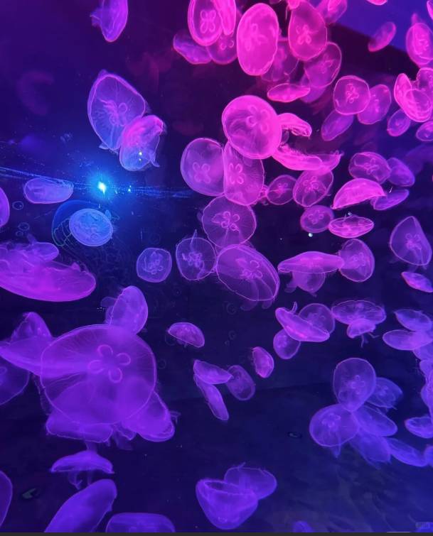 深圳好去處| (圖片來源:深圳恆遠海立方環遊城)