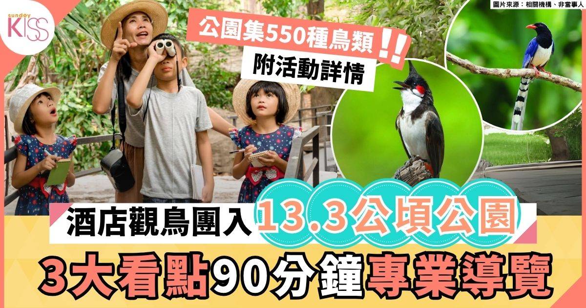 觀鳥體驗｜酒店創行業先河 首推九龍公園觀鳥體驗 3看點 專業導覽＋食和玩