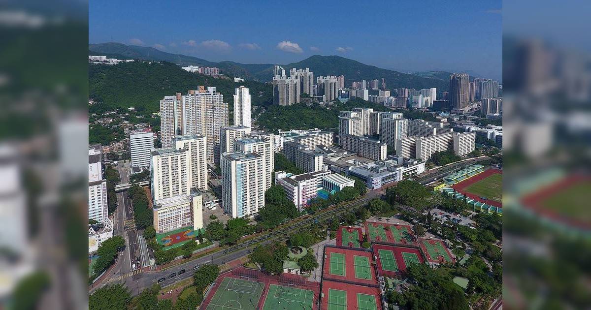 東涌 逸東邨