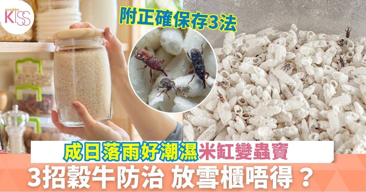 米蟲防治
