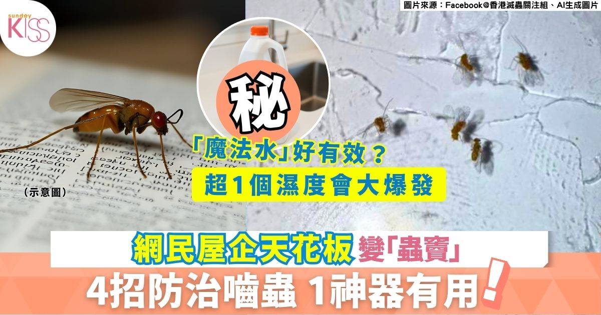 嚙蟲