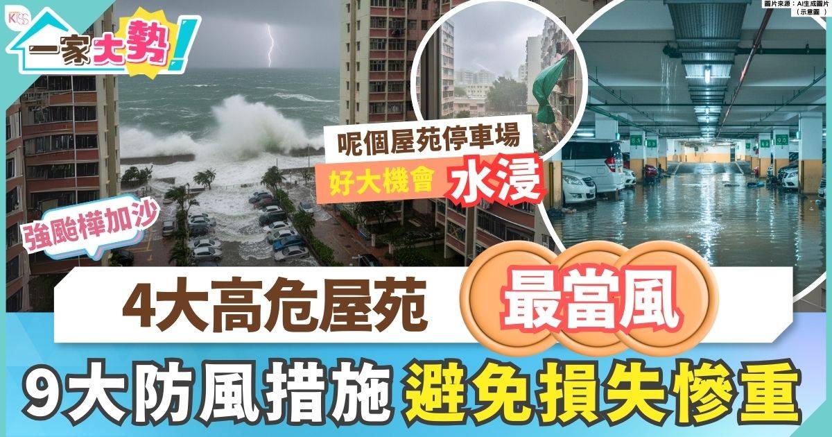 超颱樺加沙