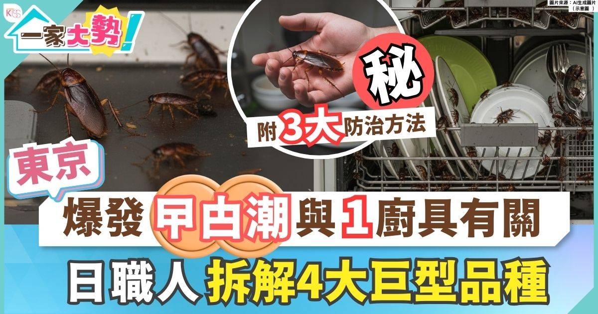 東京環紋蟑螂大爆發！單性繁殖1地點重災 附滅蟲藥名牌拆解蟑螂品種＋防治