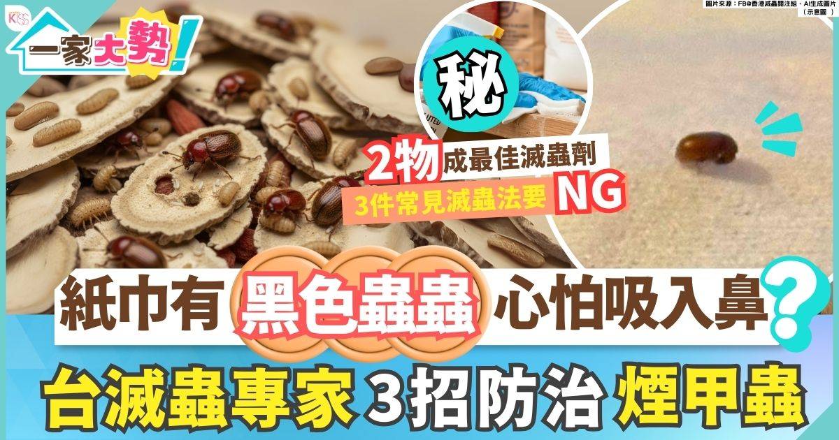 煙甲蟲防治