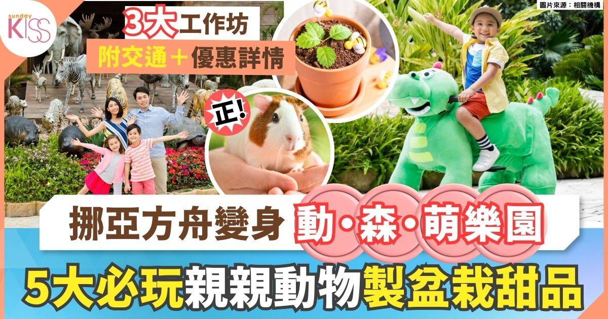 香港挪亞方舟變身萌樂園 5看點零距離親親珍奇動物＋手作療癒萌物