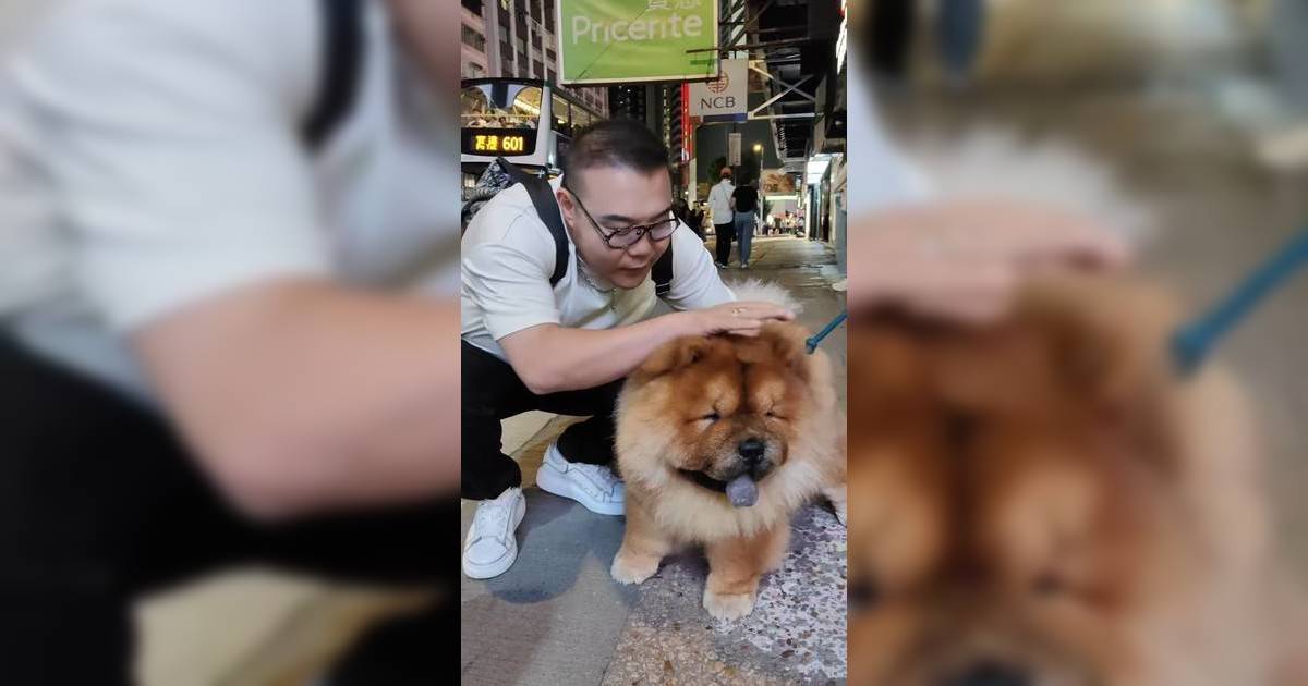 中年好聲音3劉洋撞樣鬆獅犬｜IG曬片互動勁有愛 網民激讚：根本一比一還原！