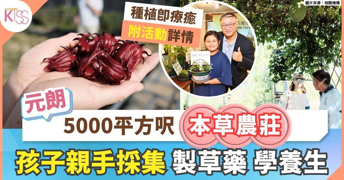 中草藥教育｜元朗「本草農莊」小學校長帶學生養生學文化 親手種植
