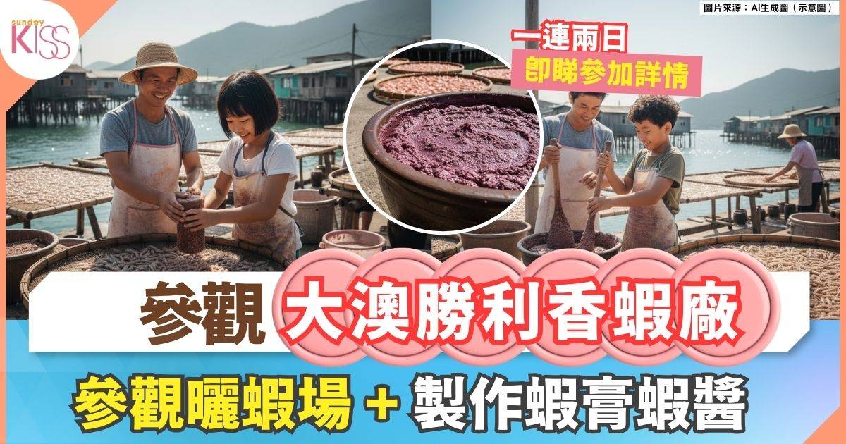 大澳勝利香蝦廠 | 非物質文化遺產 蝦膏蝦醬製作 + 參觀曬蝦場