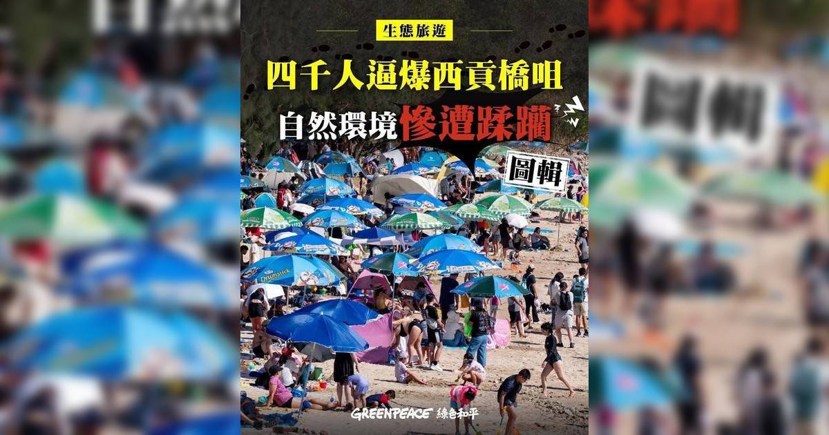 十一黃金周｜遊客逼爆西貢橋咀洲生態大災難！活捉海星生火煮食