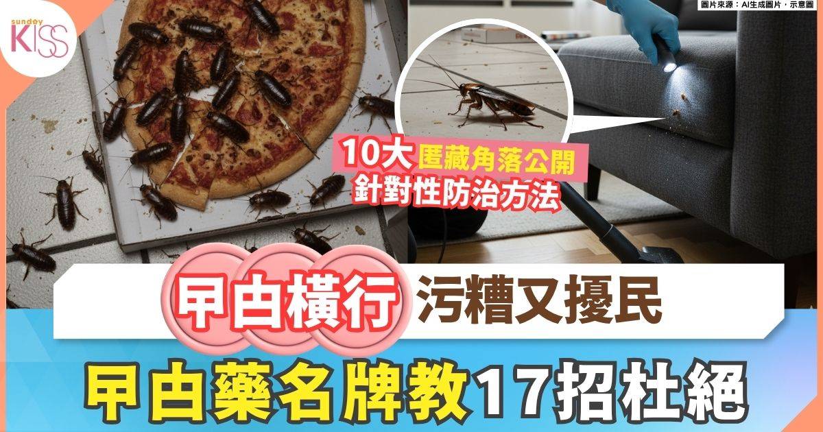 消滅曱甴！曱甴藥名牌教你針對10大屋內外匿藏位 杜絕曱甴