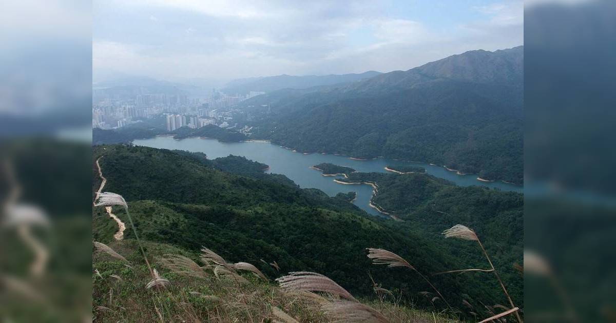 珍惜生命｜17歲仔留尋短字句後失蹤 GPS揭最後位置令家人極擔憂 附最新情況