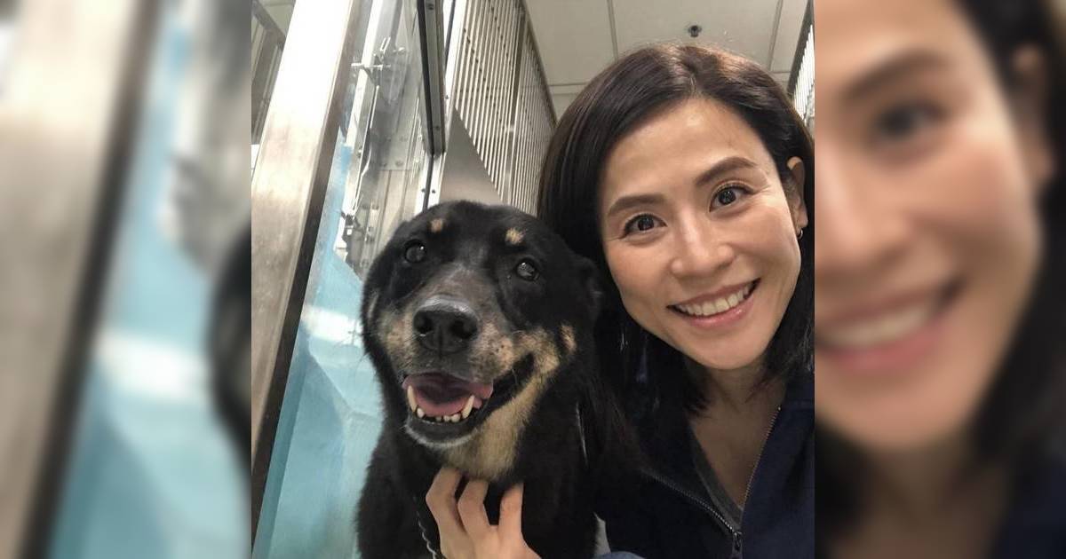 宏福苑五級火｜宣萱主動暫托毛孩 網民激讚人美心善