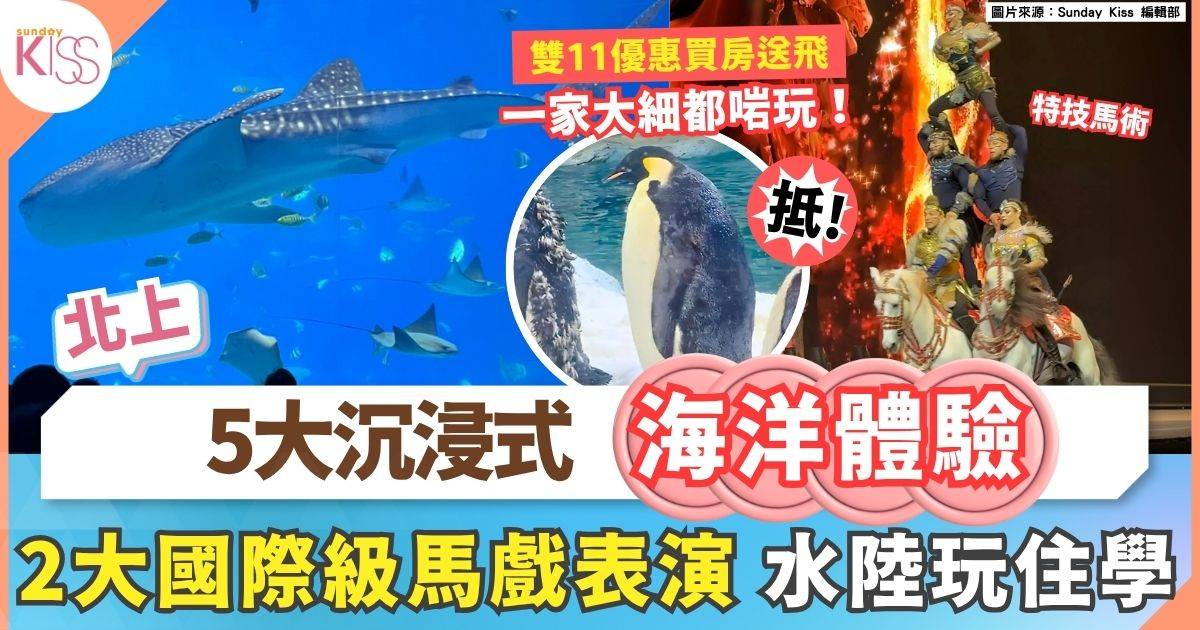 橫琴長隆3大必看表演+5大邊玩邊學設施 近距離接觸+學習保育動物