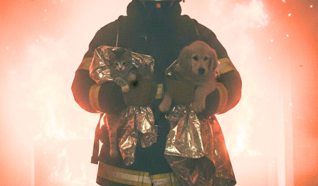 消防員宏福苑大火救寵物惹爭議「點解唔救人先？建議寵物留最後救」