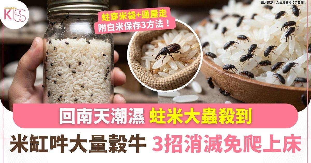 穀牛防治｜米吽穀牛 包裝都被蛀穿 附白米保存全攻略：防潮、防蟲、保鮮法