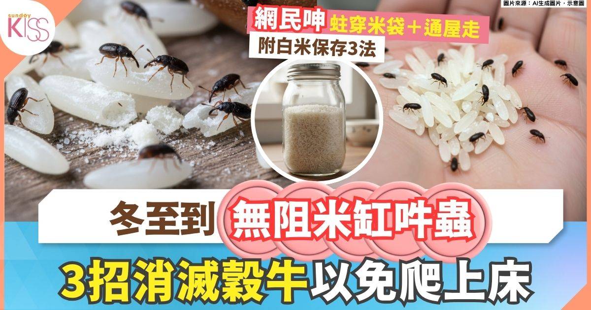 穀牛防治｜米吽穀牛 包裝都被蛀穿 附白米保存全攻略：防潮、防蟲、保鮮法