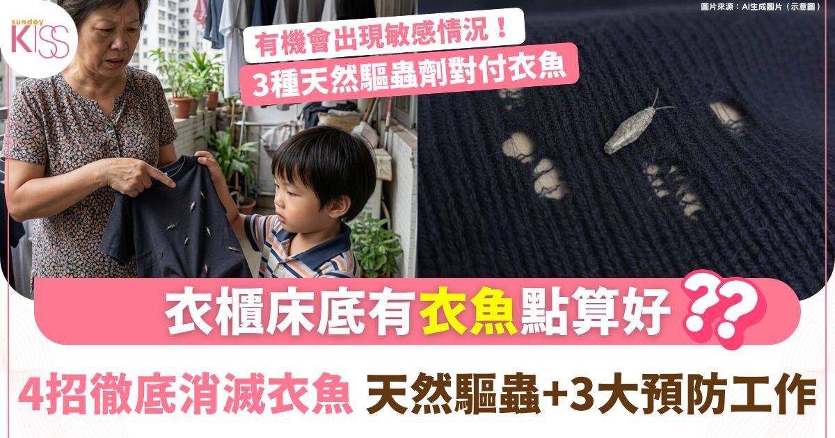 換季衣物穿窿？一文看清衣魚特徵+出沒角落+4防治方法