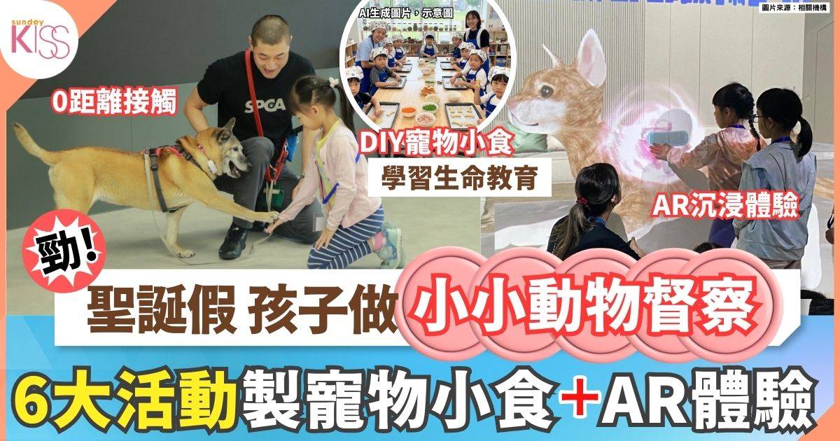 小小動物督察｜SPCA冬季假日營6大看點 親手製狗狗糧食 0距離摸摸