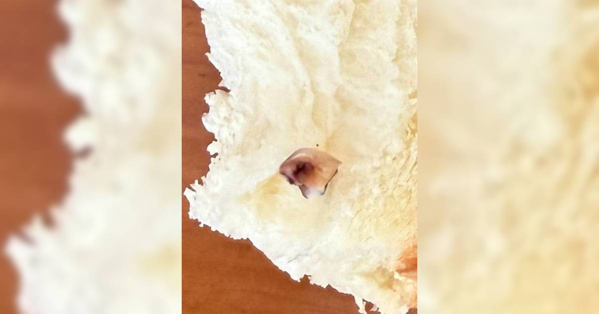 連鎖麵包店麵包疑藏蛀牙 事主嘔足全日「呢世唔想再見到」附店方回應