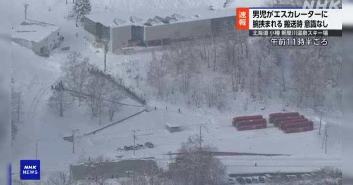 5歲男童日本滑雪場罹難 前港姐披露更多細節「單嘢真係慘」事發經過曝光