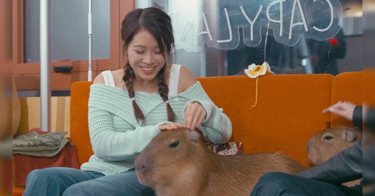 尋歡作樂的姐姐｜林凱恩親親卡皮巴拉！突發一幕嚇到失控尖叫場面震撼