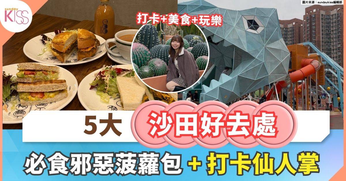 沙田親子好去處 | 必食創意菠蘿包＋7米高恐龍樂園 一日遊攻略
