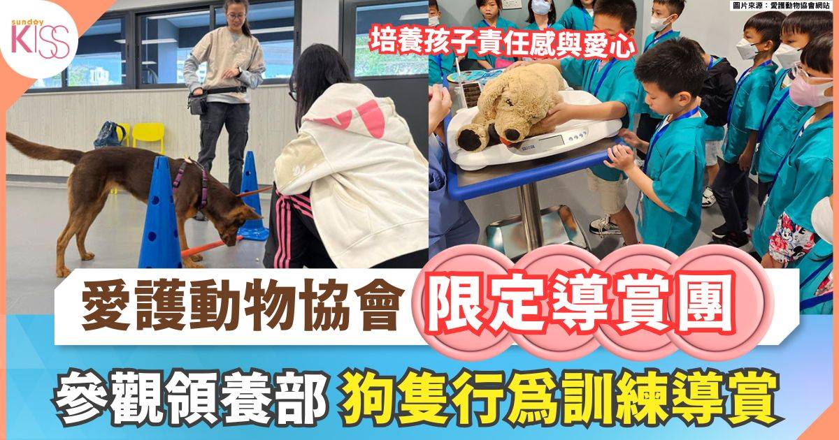 愛護動物協會限定導賞團 | 參觀領養部+狗隻行為訓練導賞+沉浸式教室體驗