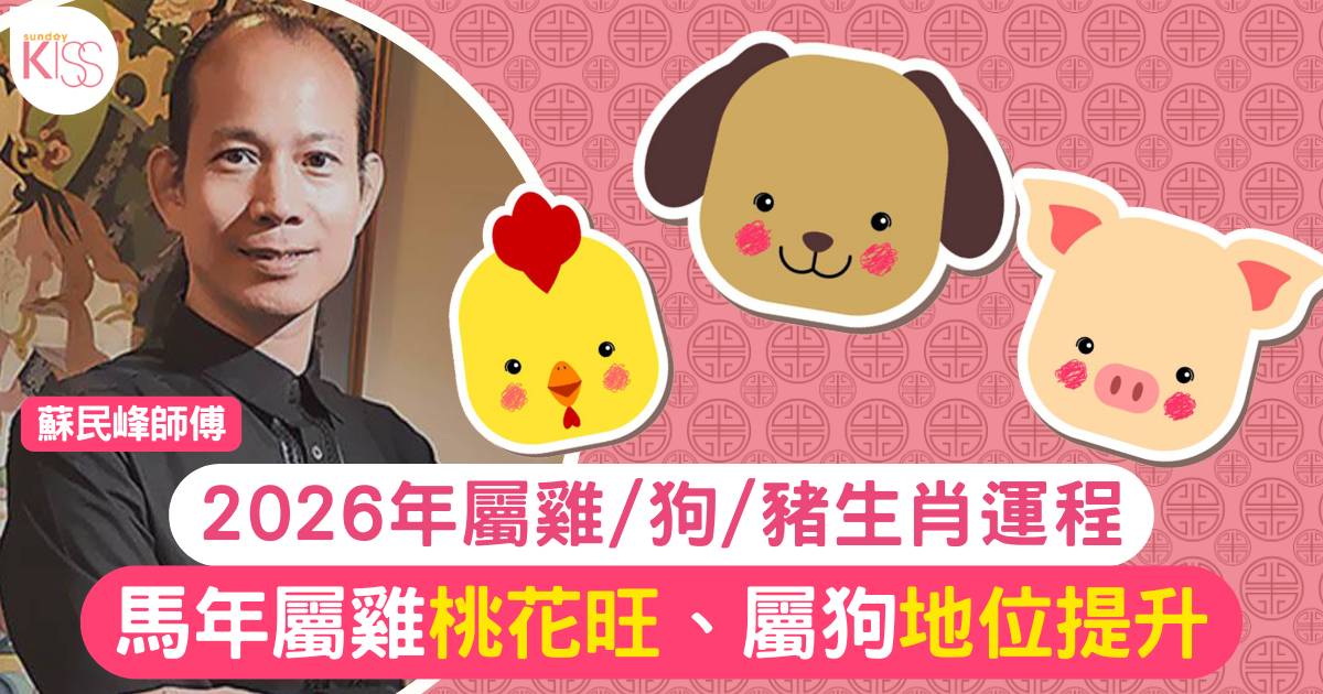 蘇民峰屬雞/狗/豬生肖運程2026｜馬年屬雞桃花旺、屬狗地位提升