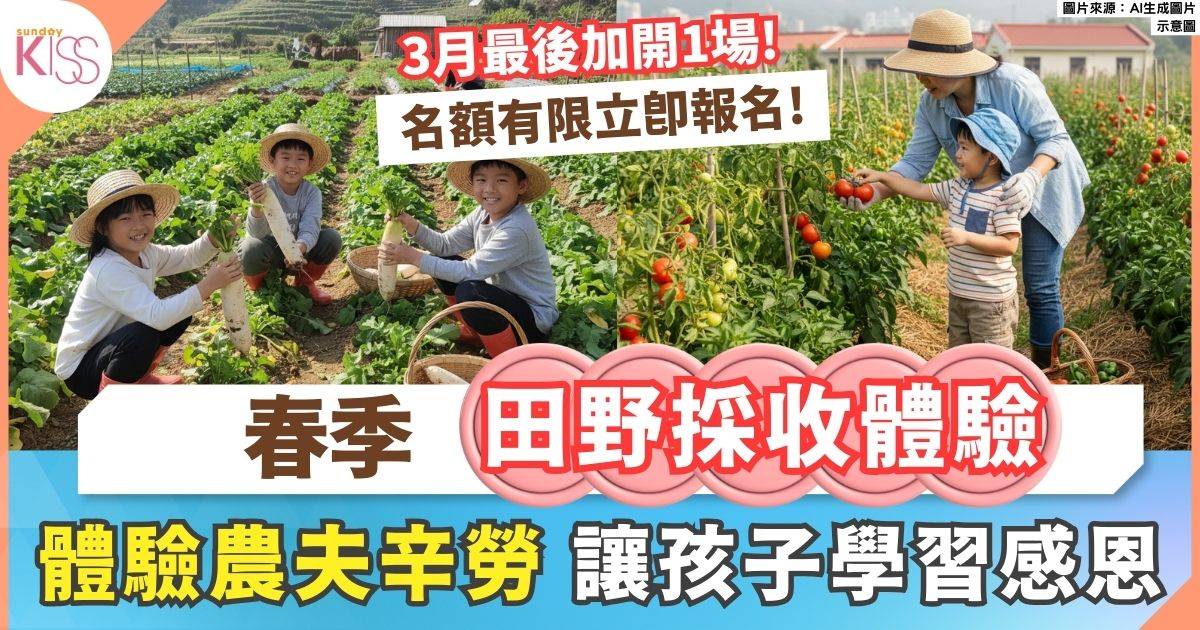 春季田野採收體驗｜讓孩子在泥土芬芳中學習感恩與環保